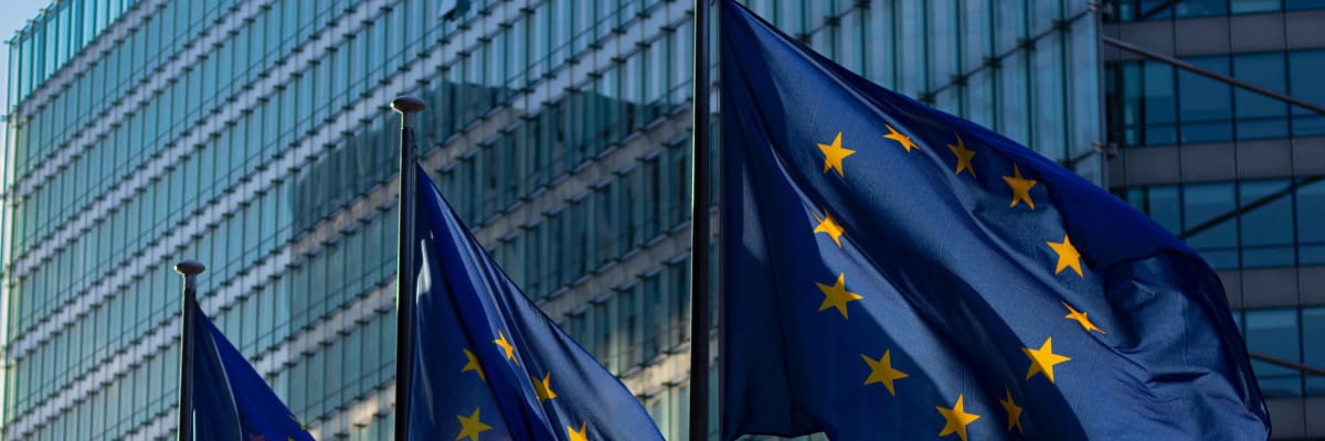 European Commission & Flags